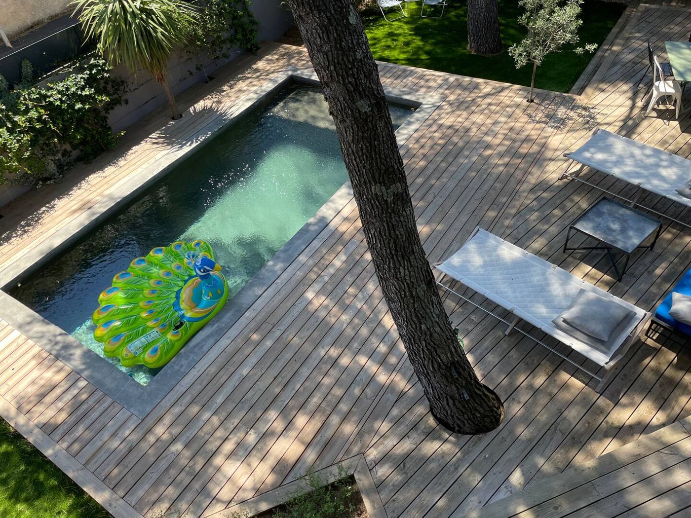 La piscine vue de l'étage, avec une bouée paon